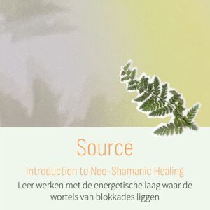 Source; neoshamanic healing; sjamaan; sjamanisme; christof melchizedek; introduction; Femke Klomp; Stephanie van Workum; training