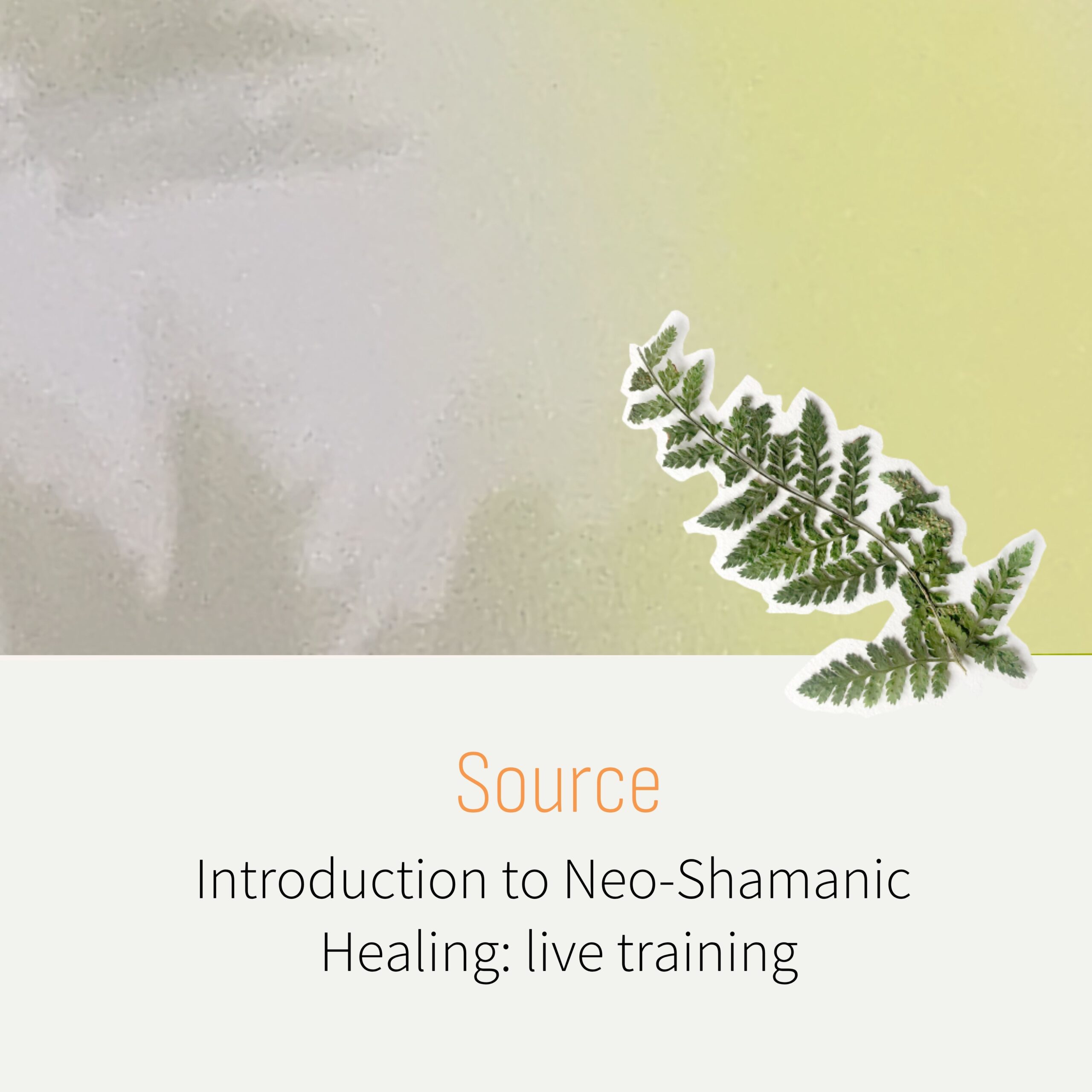 Source; neoshamanic healing; sjamaan; sjamanisme; christof melchizedek; introduction; Femke Klomp; Stephanie van Workum; training